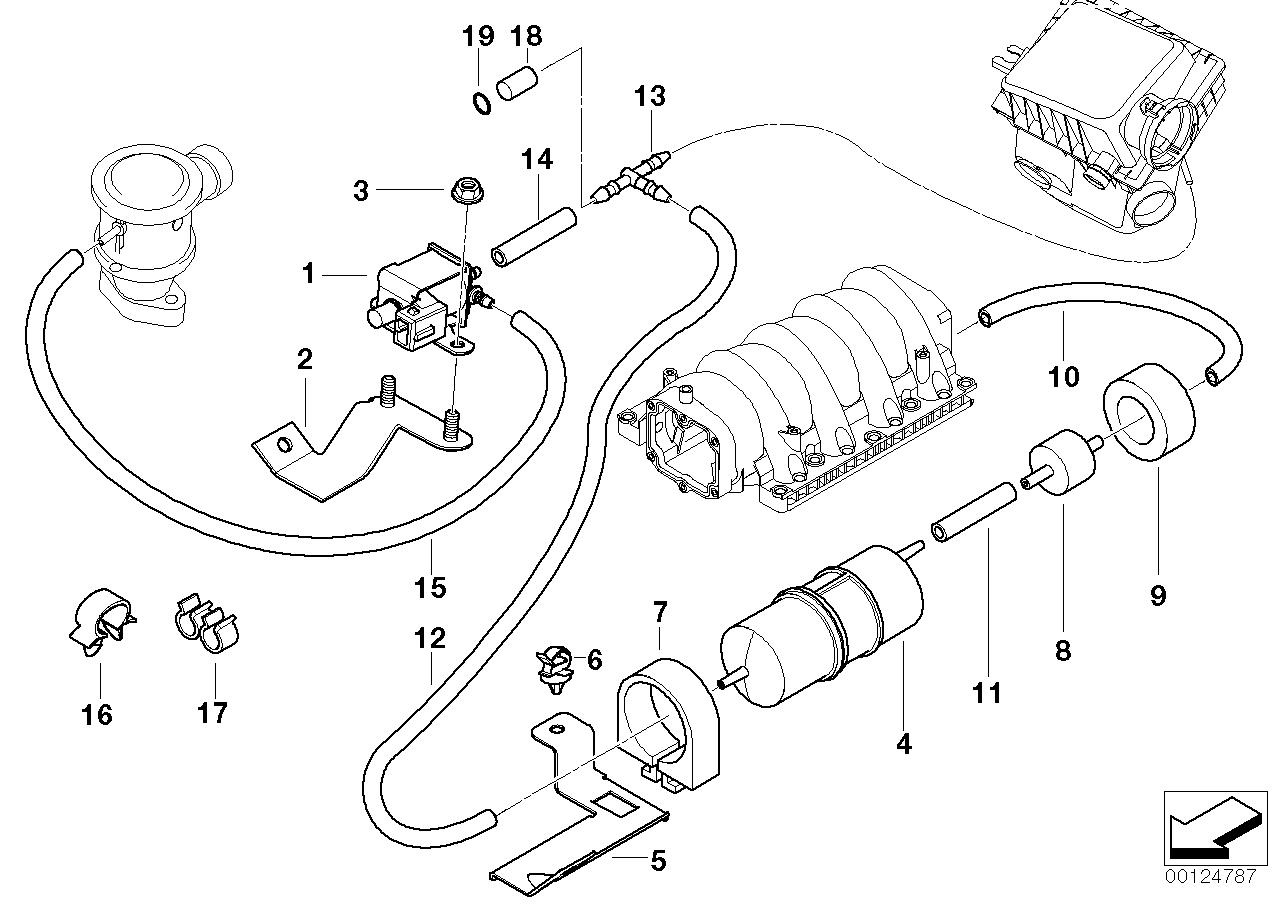 2002 bmw 325i vacuum lines