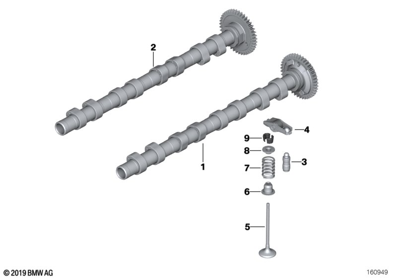 Genuine BMW 11348511622 F31 F23 F21 Exhaust Valve 24,6/4,92mm (Inc. 420d, X1 18dX & X2 20dX) | ML Performance UK Car Parts